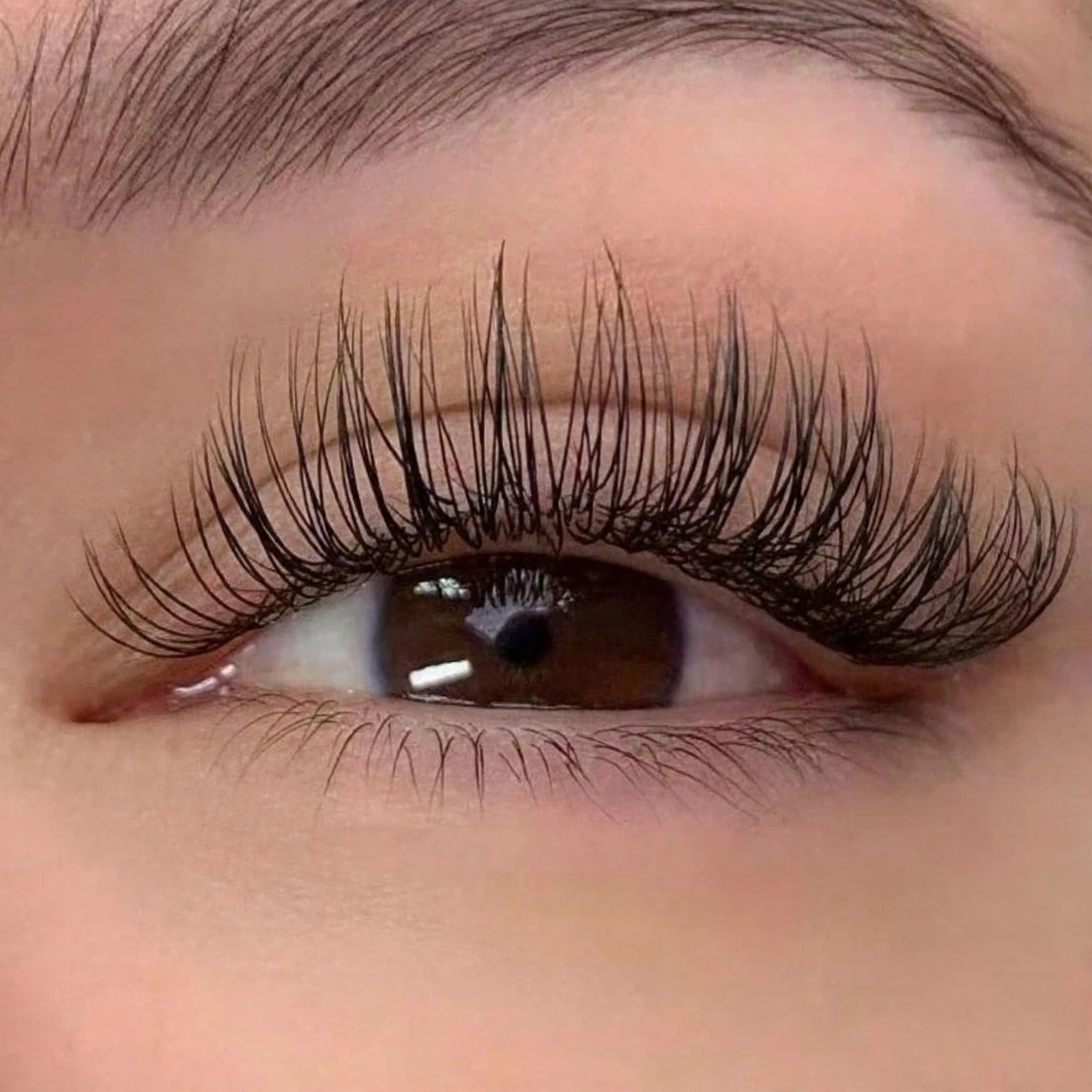 SINGLE CLASSIC MINK 3 WEEKS TOUCH UP