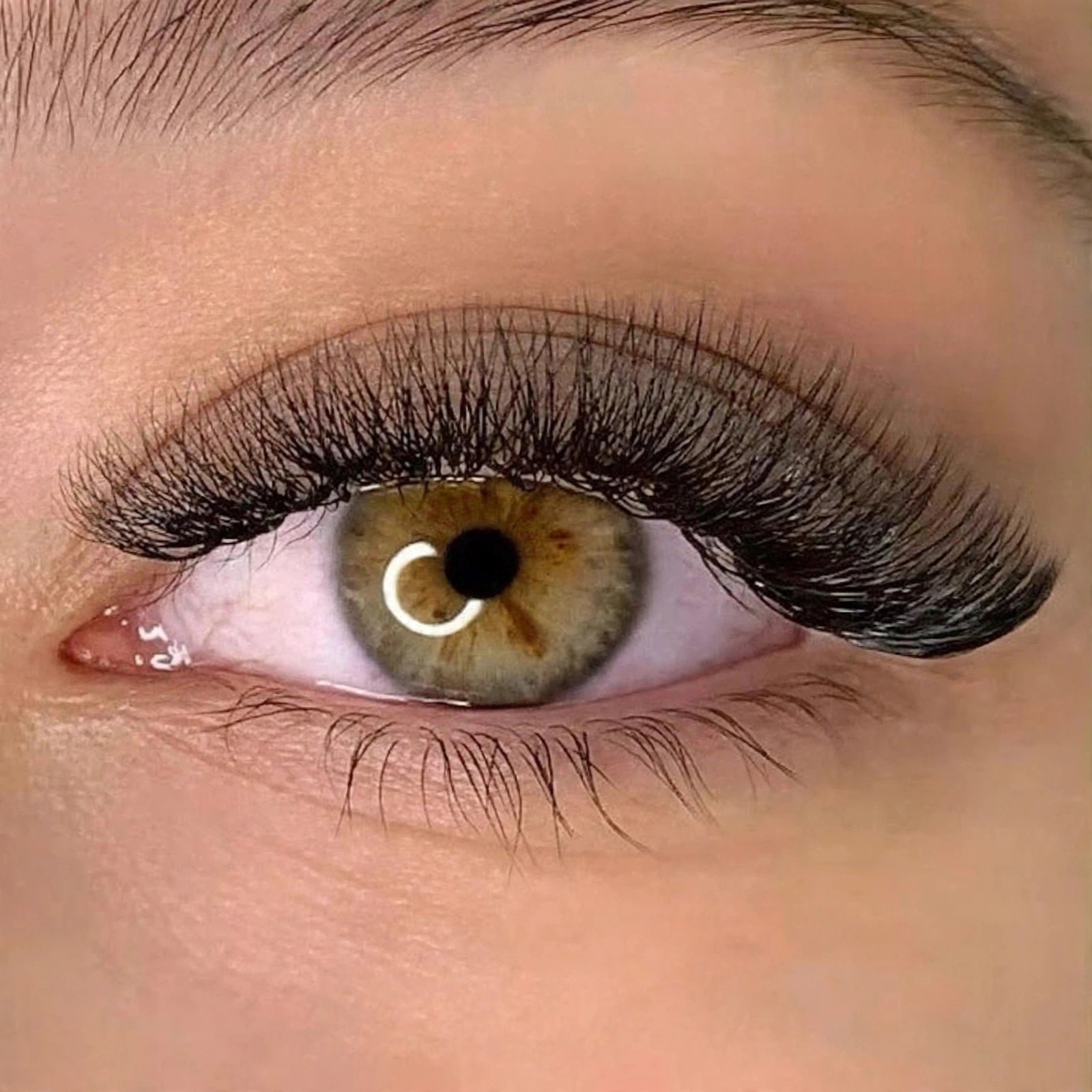 VOLUME LASH NEW SET